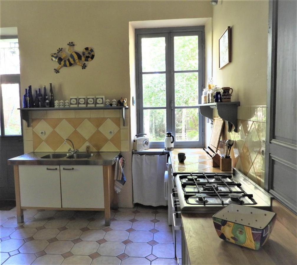 Chateau De La Comtesse Saint-Martin-Petit Εξωτερικό φωτογραφία