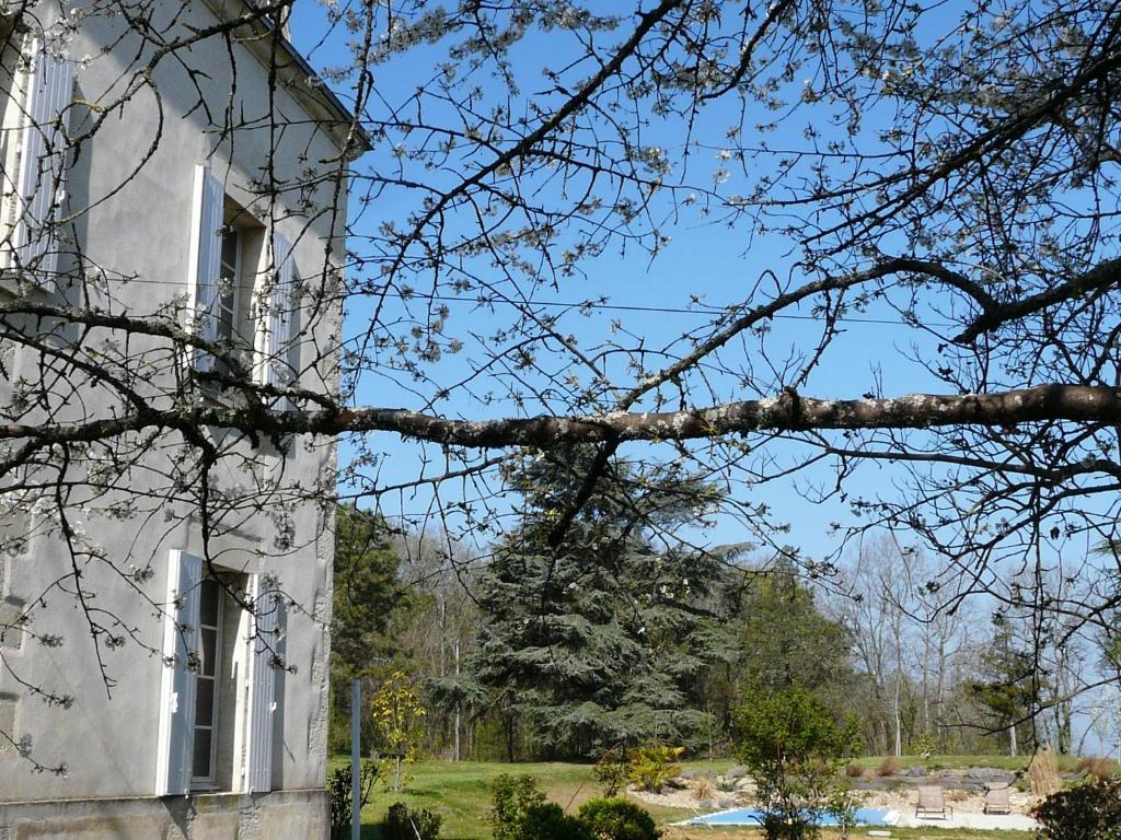 Chateau De La Comtesse Saint-Martin-Petit Εξωτερικό φωτογραφία